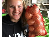 ONIONS 3.5 KG Pukekohe Grown